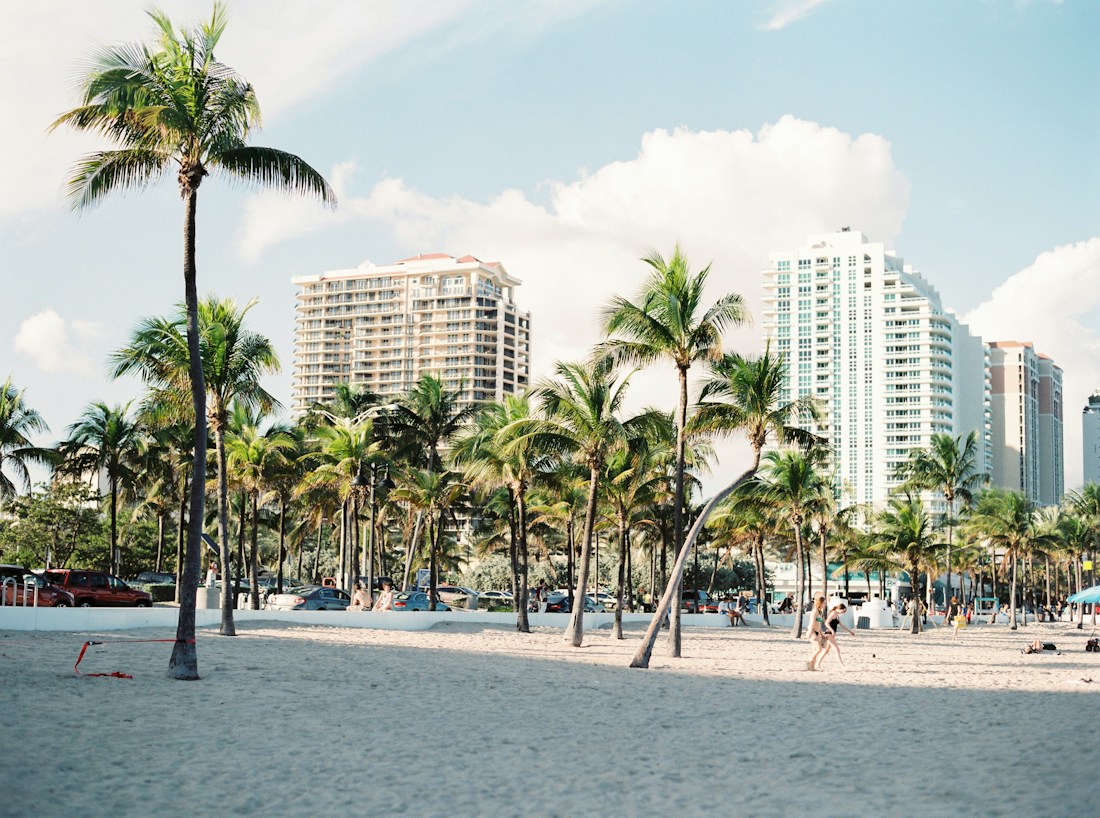 Palm trees and oceanfront architecture in Miami